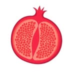 Logo Apoiador 2
